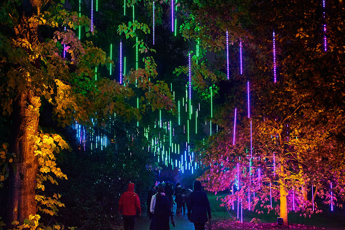 Nine announces partnership with lightscape 2025