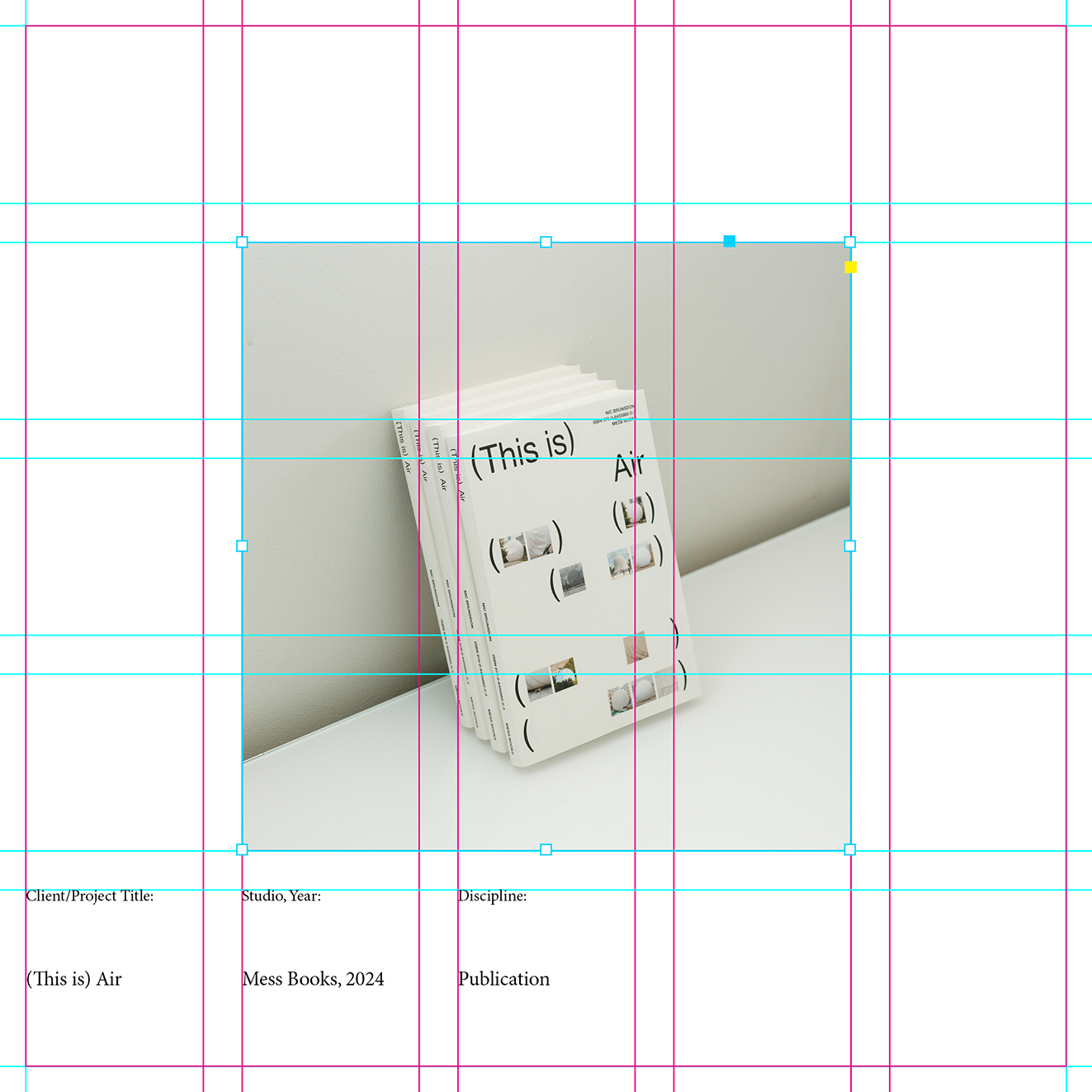 Mark Braddock curates visual communications showcase for WA Design Now exhibition