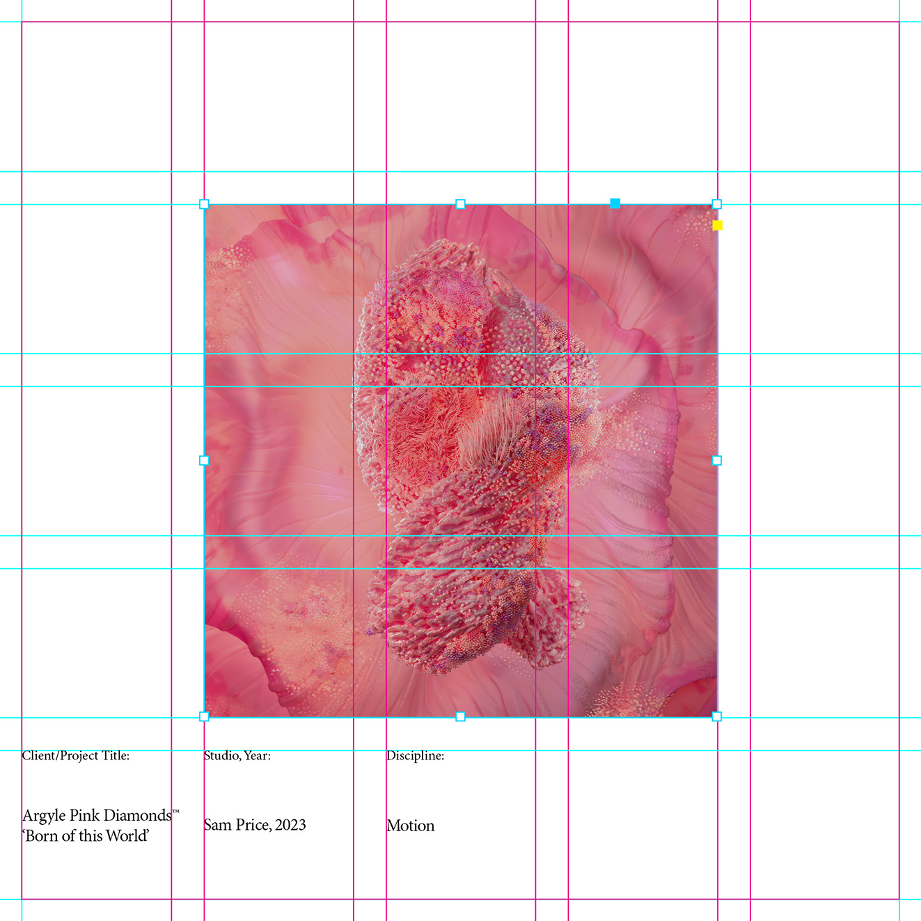 Mark Braddock curates visual communications showcase for WA Design Now exhibition