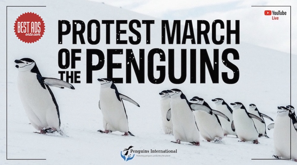Bestads Best of the Week: Penguins International ‘Protest March of the Penguins’ via Rethink