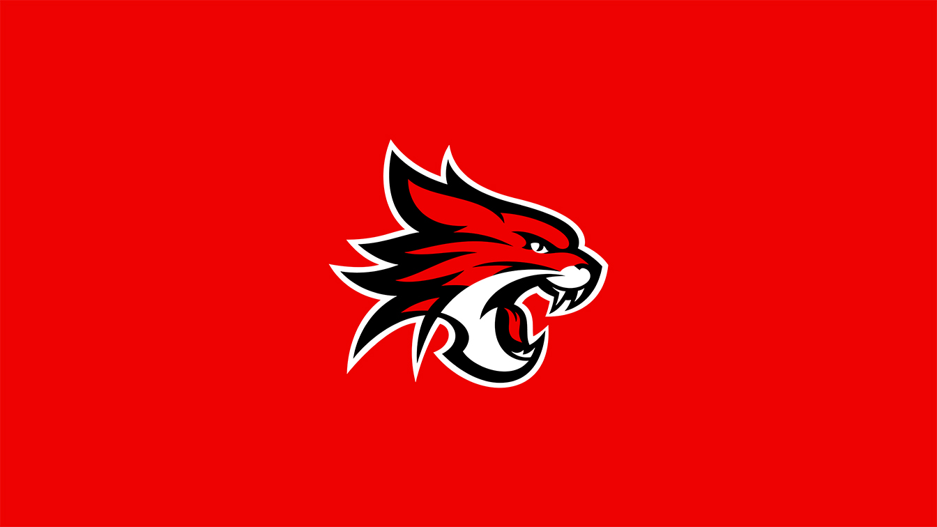 Perth Wildcats ignite new era with culture-first rebrand via transformation agency Hum