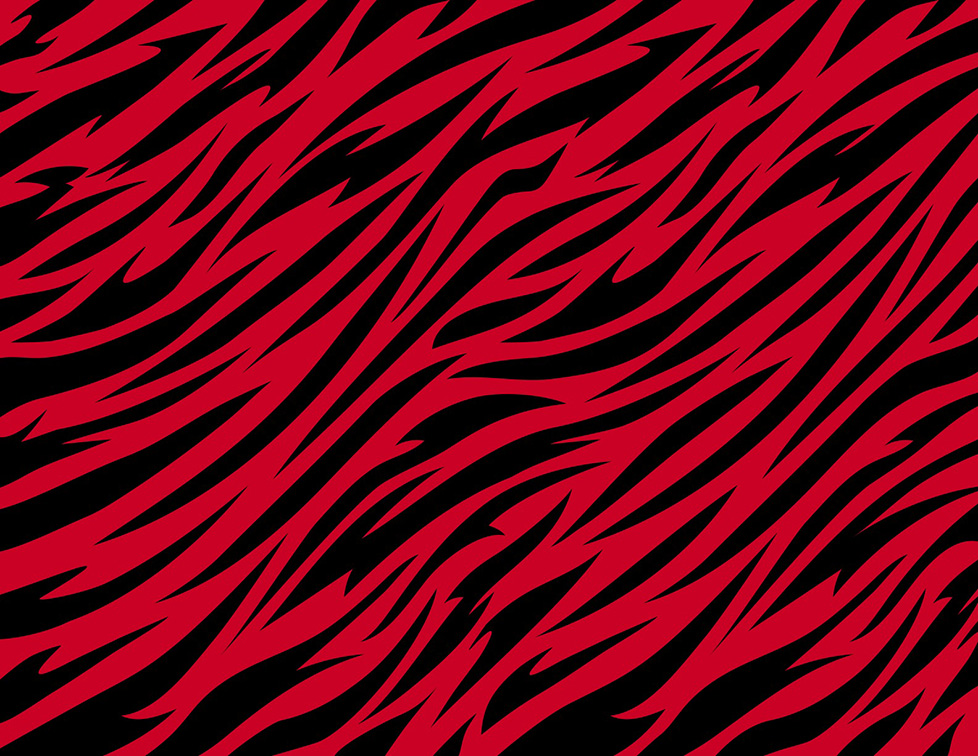 Perth Wildcats ignite new era with culture-first rebrand via transformation agency Hum