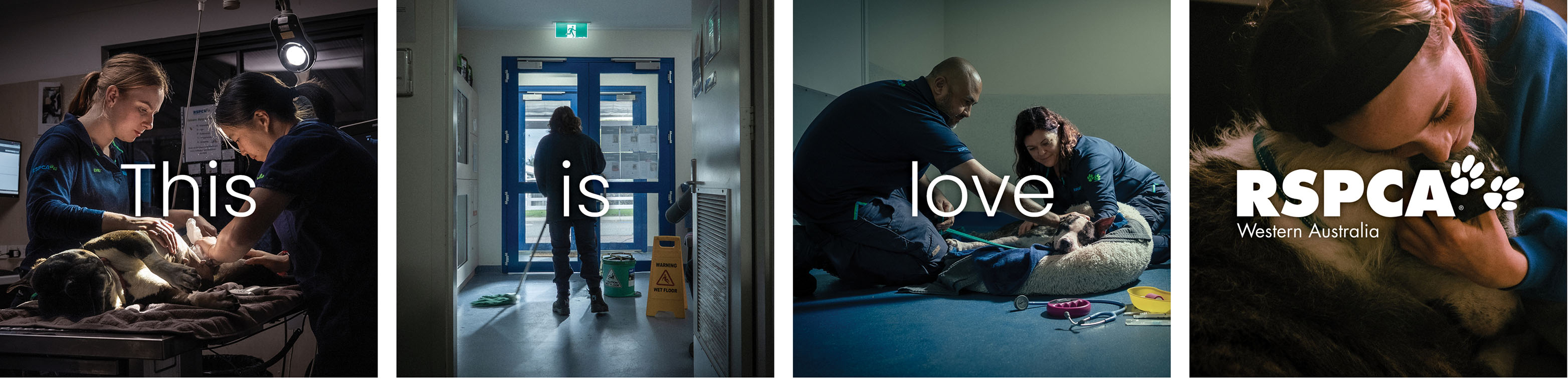 KWP+Partners’ ‘This Is Love’ film for RSPCA WA shows what real love looks like