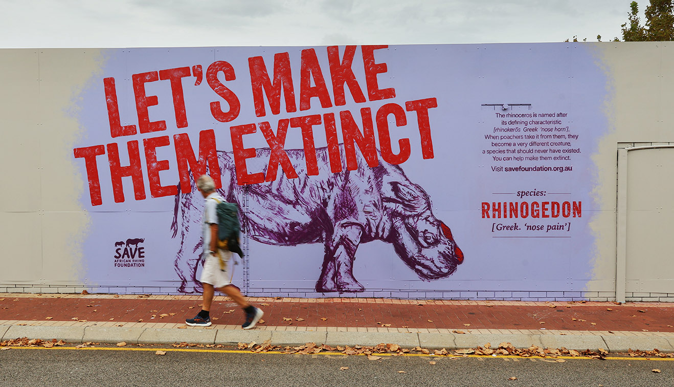 Save African Rhino Foundation teams up with Rare to create pro-extinction campaign
