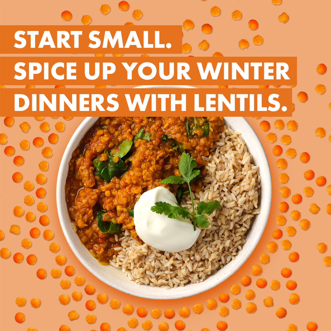 Cancer Council WA spills the beans on Aussies not eating enough legumes via new Berlin work