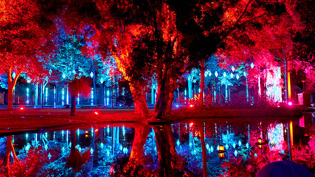 7NEWS partners with Bloom Luna Light Journey to illuminate Perth’s north