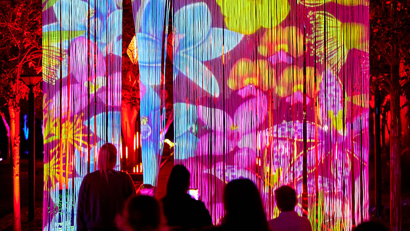 7NEWS partners with Bloom Luna Light Journey to illuminate Perth’s north