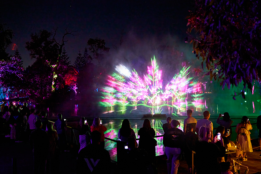 7NEWS partners with Bloom Luna Light Journey to illuminate Perth’s north