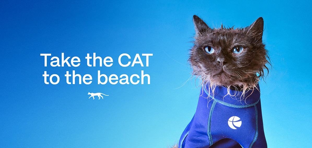 A cat in a wetsuit? Moonsail’s Surf CAT campaign promotes new PTA beach bus service