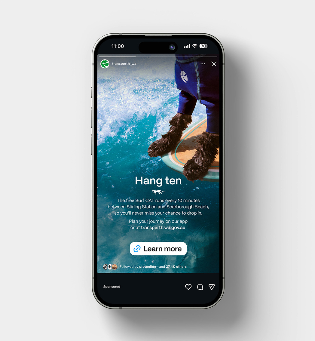 A cat in a wetsuit? Moonsail’s Surf CAT campaign promotes new PTA beach bus service