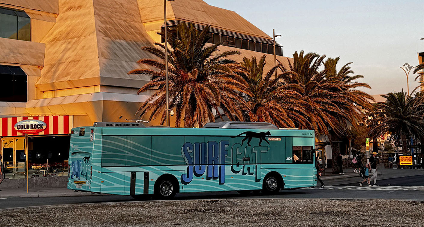 A cat in a wetsuit? Moonsail’s Surf CAT campaign promotes new PTA beach bus service