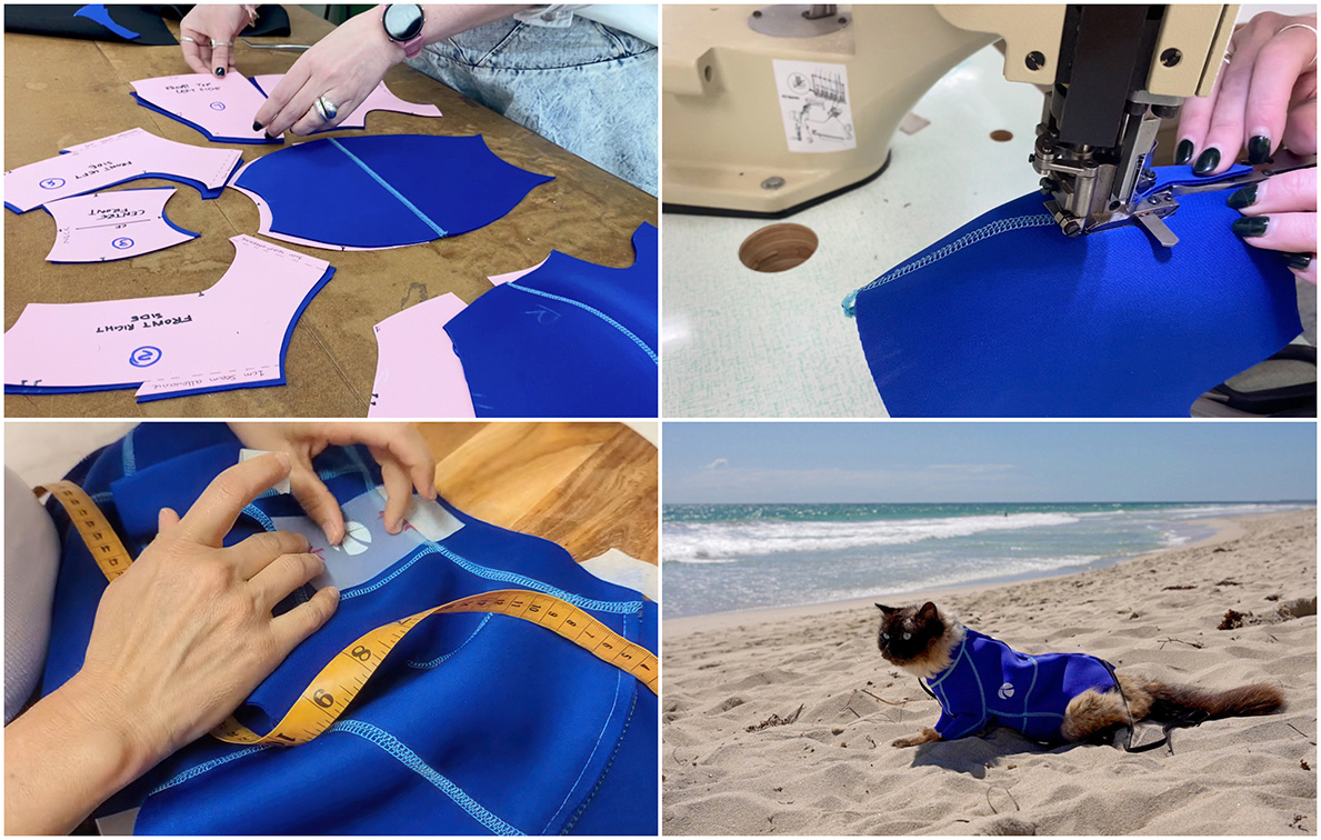 A cat in a wetsuit? Moonsail’s Surf CAT campaign promotes new PTA beach bus service