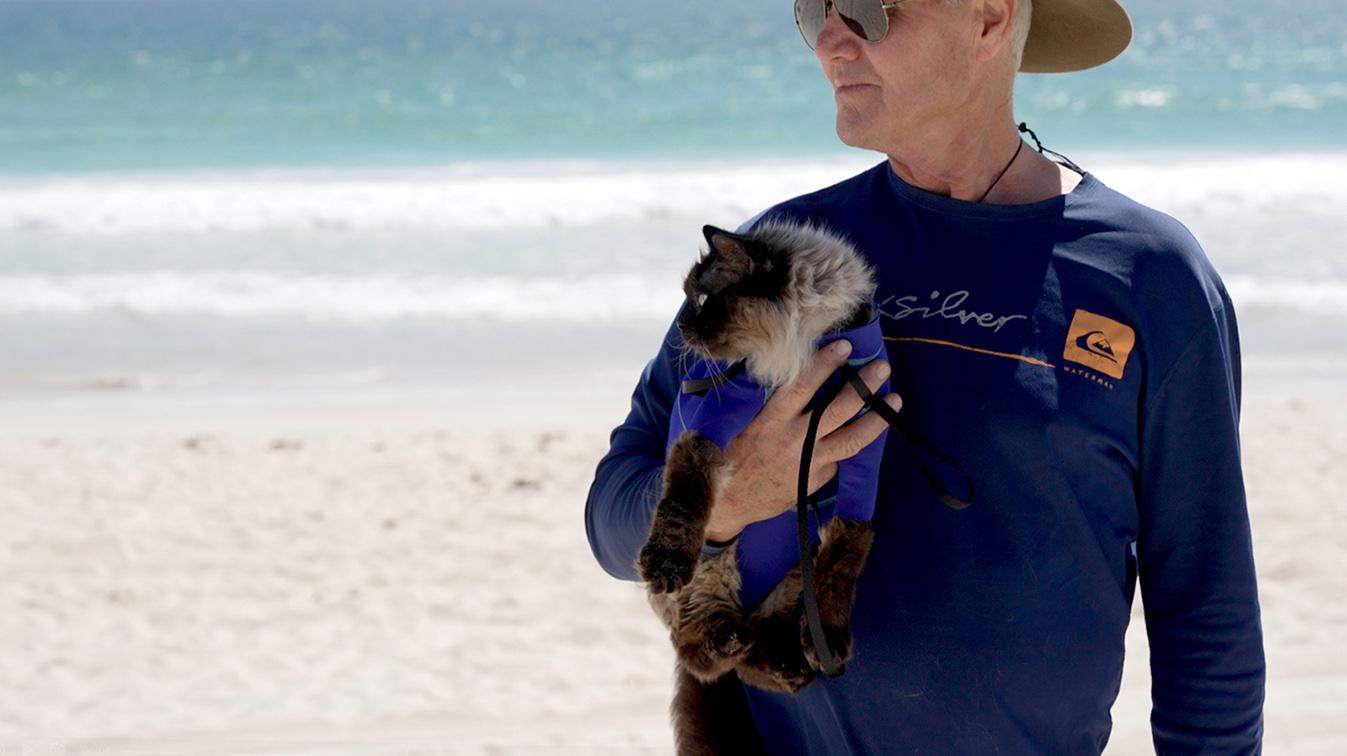 A cat in a wetsuit? Moonsail’s Surf CAT campaign promotes new PTA beach bus service